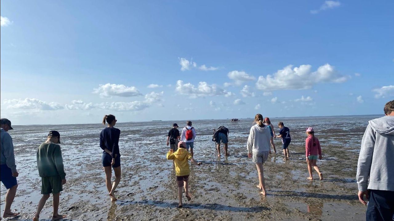 AreaSummer5KM AreaSummer5KM